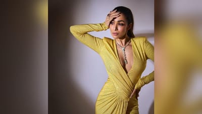 મલાઈકા અરોરાની (Malaika Arora) ફેશન દરરોજ ચર્ચાનો વિષય બને છે. ફેશનથી લઈને ફિટનેસ સુધી, મલાઈકા અરોરા હંમેશા પોતાની પરફેક્ટ ઈમેજ જાળવી રાખે છે. તાજેતરમાં, આ સુંદર અભિનેત્રીએ તેના કેટલાક ફોટા પોસ્ટ કરીને સોશિયલ મીડિયા પર ધૂમ મચાવી છે.