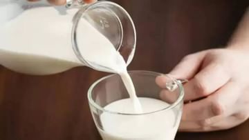 मंदी का खतरा: त्योहारी सीजन से पहले फिर महंगा हो सकता है दूध, जानिए क्या है वजह