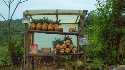 ભારત એક અનોખું રાજ્ય છે. અહીં એક-એક પગલે એક નવી સંસ્કૃતિ અને નવી ભાષા જોઈ શકાય છે. અમે અહીં ભારતના એક એવા રાજ્ય વિશે જણાવવા જઈ રહ્યા છીએ જ્યાં દુકાનો માત્ર ભરોસા પર ચાલે છે. અહીંની દુકાનોમાં કોઈ દુકાનદાર નથી. IAS Awanish Sharan ટ્વીટ કરીને આ દુકાનો વિશે જાણકારી આપી છે. ચાલો જાણીએ આ રાજ્ય અને અહીંની દુકાનો વિશે.