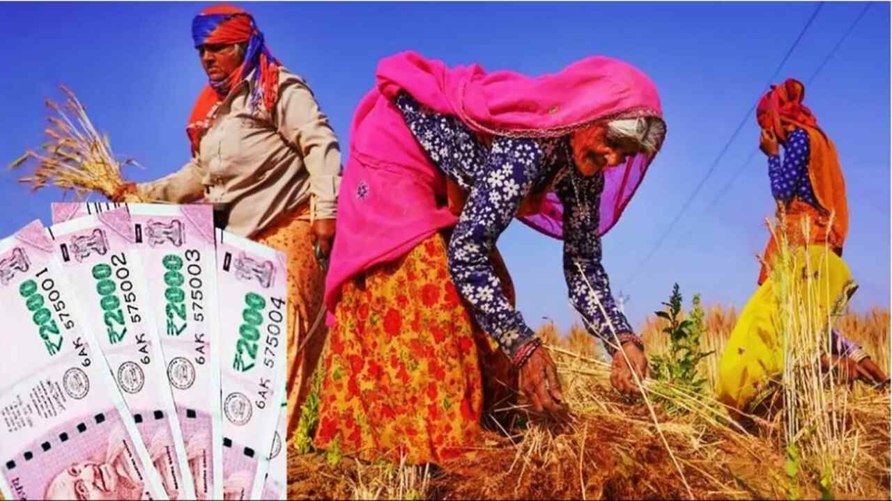 પ્રધાનમંત્રી કિસાન સન્માન નિધિ યોજના હેઠળ ખેડૂતોને નાણાકીય સહાય પૂરી પાડવામાં આવે છે. આ સહાય ખેડૂતોને 6 હજાર રૂપિયાના રૂપમાં આપવામાં આવે છે. દર ચાર મહિને DBT દ્વારા ખેડૂતોના ખાતામાં 2-2 હજાર રૂપિયા ત્રણ હપ્તામાં ટ્રાન્સફર થાય છે. હાલમાં ખેડૂતને 12 હપ્તા ટ્રાન્સફર કરવામાં આવ્યા છે. હવે તેઓ 13મા હપ્તાની રાહ જોઈ રહ્યા છે.