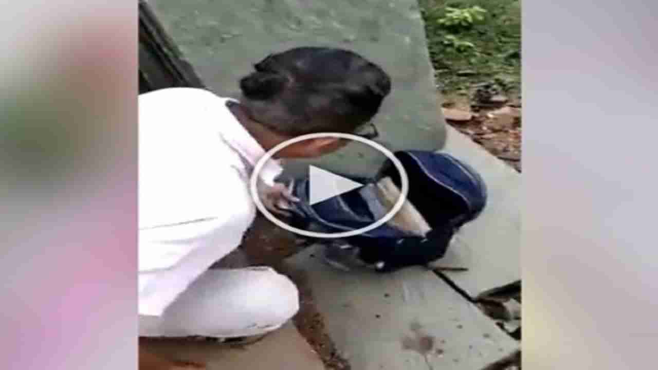 Viral Video : સ્કૂલ બેગમાં સંતાઈને બેઠી હતી નાગણી, બહાર આવતાની સાથે જ ફેલાવી ફેણ, લોકો ડરી ગયા