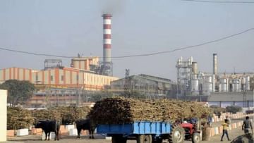 अगले सीजन के लिए चीनी निर्यात नीति की घोषणा जल्द, खाद्य सचिव ने दी जानकारी