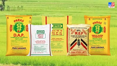 આ રાજ્યમાં યુરિયામાં સબસિડીનો લાભ મળતો નથી, અનેક ખેડૂતો મુશ્કેલીમાં