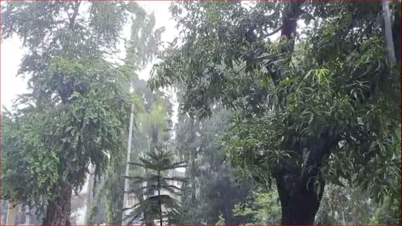 Valsad: જિલ્લામાં ભાદરવામાં અષાઢી માહોલ, વાપી, પારડી સહિતના વિસ્તારોમાં ધોધમાર વરસાદ Valsad: જિલ્લામાં ભાદરવામાં અષાઢી માહોલ, વાપી, પારડી સહિતના વિસ્તારોમાં ધોધમાર વરસાદ