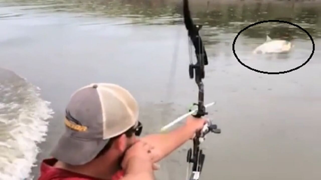 Viral Video : ચાલુ બોટમાં આ વ્યક્તિએ ધનુષમાંથી તીર મારીને પકડી માછલી, લોકો એ કહ્યુ- આ આજનો અર્જુન છે