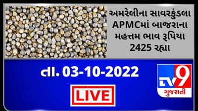 Mandi : અમરેલીના સાવરકુંડલા APMCમાં બાજરાના મહત્તમ ભાવ રૂપિયા 2425 રહ્યા, જાણો જુદા-જુદા પાકના ભાવ