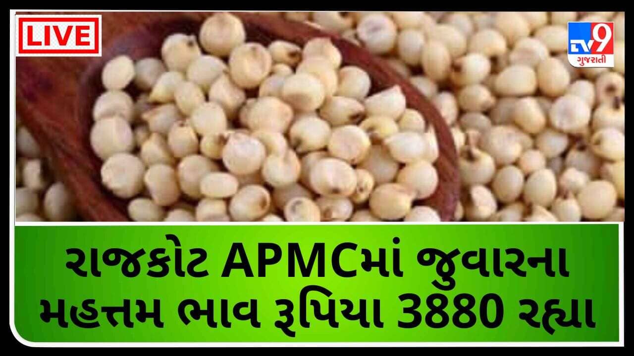 Mandi : રાજકોટ APMCમાં જુવારના મહત્તમ ભાવ રૂપિયા 3880 રહ્યા, જાણો જુદા-જુદા પાકના ભાવ