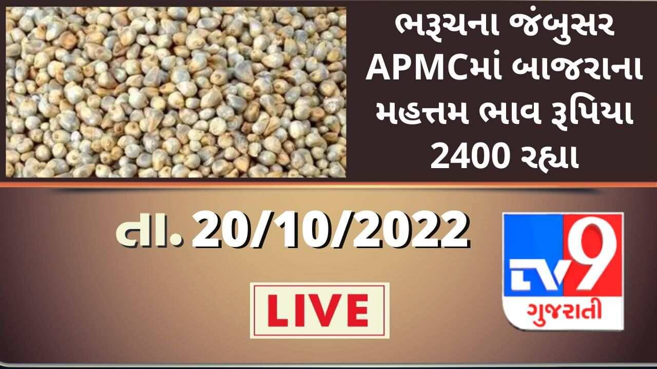 Mandi : ભરૂચના જંબુસર APMCમાં બાજરાના મહત્તમ ભાવ રૂપિયા 2400 રહ્યા, જાણો જુદા-જુદા પાકના ભાવ