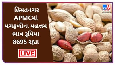 Mandi : હિમતનગર APMCમાં મગફળીના મહત્તમ ભાવ રૂપિયા 8695 રહ્યા, જાણો જુદા-જુદા પાકના ભાવ