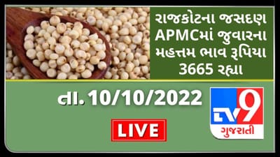 Mandi : રાજકોટના જસદણ APMCમાં જુવારના મહત્તમ ભાવ રૂપિયા 3665 રહ્યા, જાણો જુદા-જુદા પાકના ભાવ