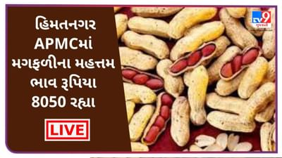 Mandi : હિમતનગર APMCમાં મગફળીના મહત્તમ ભાવ રૂપિયા 8050 રહ્યા, જાણો જુદા-જુદા પાકના ભાવ