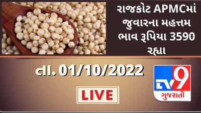 Mandi : રાજકોટ APMCમાં જુવારના મહત્તમ ભાવ રૂપિયા 3590 રહ્યા, જાણો જુદા-જુદા પાકના ભાવ