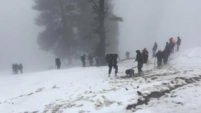 ઉત્તરકાશી: હિમપ્રપાતમાં દટાયેલા 29 લોકોમાંથી 26ના મૃતદેહ બહાર આવ્યા, ત્રણની શોધ ચાલુ