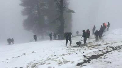 ઉત્તરકાશી: હિમપ્રપાતમાં દટાયેલા 29 લોકોમાંથી 26ના મૃતદેહ બહાર આવ્યા, ત્રણની શોધ ચાલુ