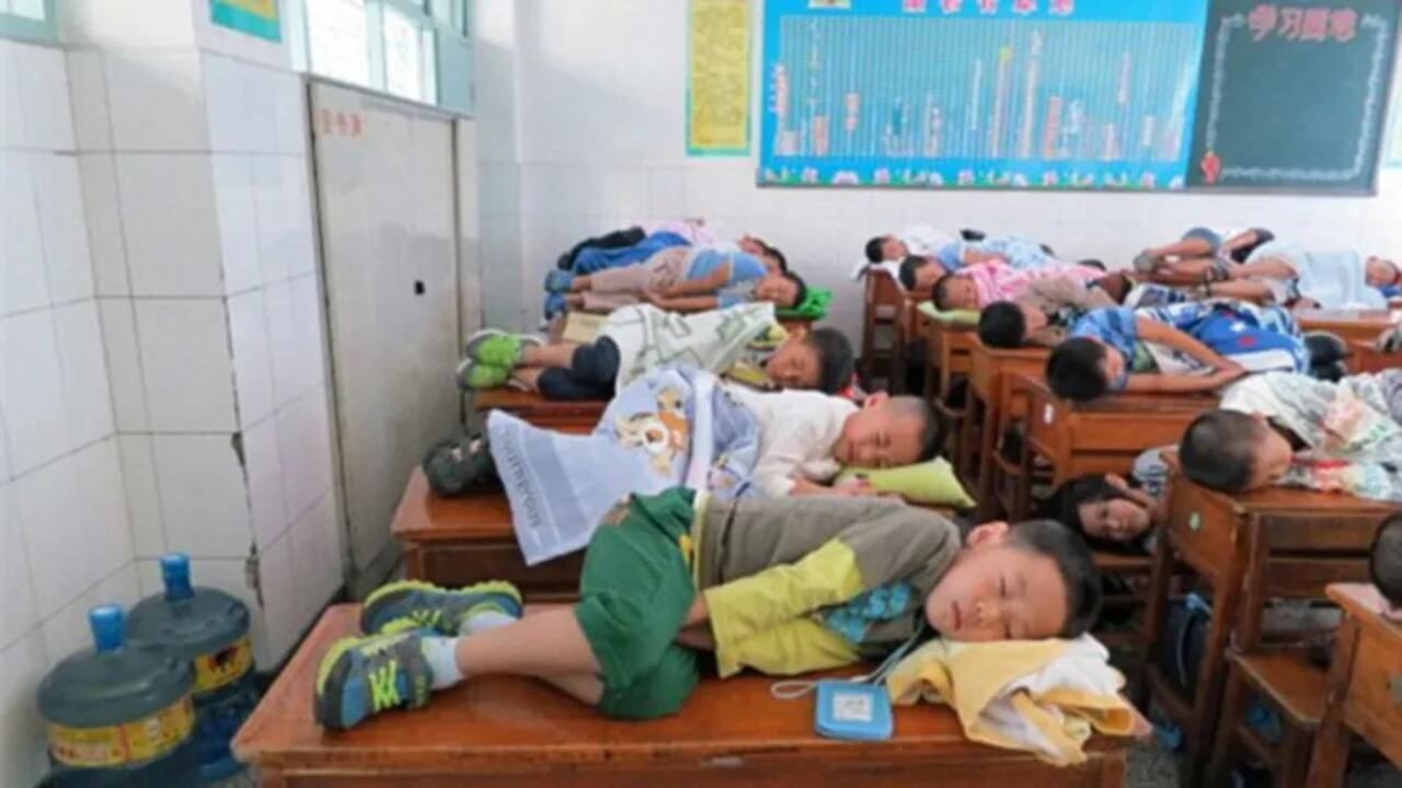ચીનની શાળામાં બપોરની ઊંઘ : ચીનની ગાઓક્સિન નંબર 1 પ્રાથમિક શાળામાં, બાળકોને બપોરે 12.10થી બપોરના 2 વાગ્યા સુધીના ભોજન સમય દરમિયાન બપોરની ઊંઘ લેવાનું કહેવામાં આવે છે. તેનો હેતુ એ છે કે બાળકો બપોરે તાજગી અનુભવે. (Europics (cen))

