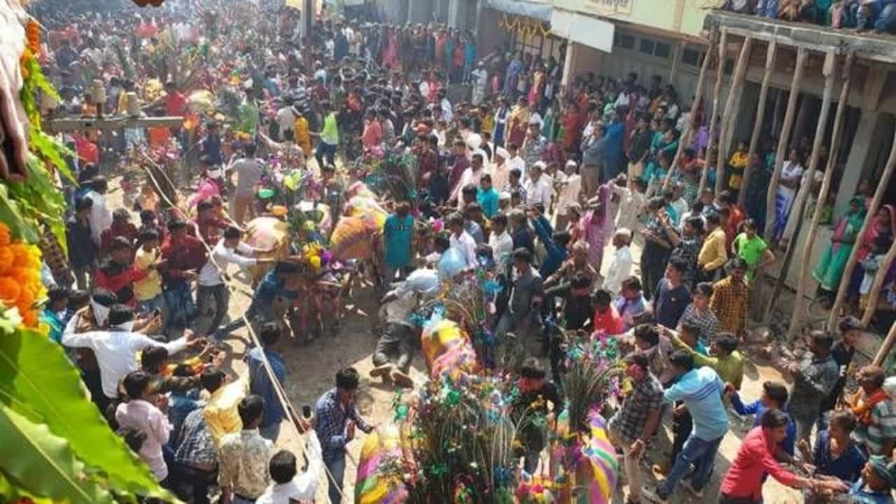 દાહોદમાં નવા વર્ષની અનોખી રીતે ઉજવણી, લોકોએ ગાયના દોડતા ટોળા સામે દંડવત કર્યા, જુઓ VIDEO