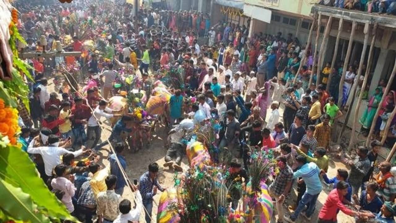 દાહોદમાં નવા વર્ષની અનોખી રીતે ઉજવણી, લોકોએ ગાયના દોડતા ટોળા સામે દંડવત કર્યા, જુઓ VIDEO