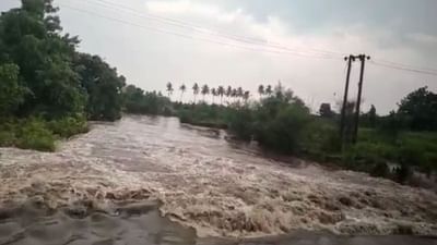 ગીર સોમનાથઃ ગીર સોમનાથના ગ્રામ્ય પંથકમાં ધોધમાર વરસાદ, પાક પલળવાથી ખેડૂતો બેહાલ