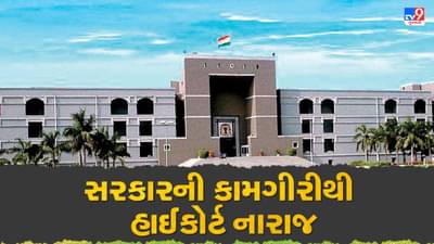 Ahmedabad : રાજ્યમાં ગેરકાયદેસર ચાલતા કતલખાના તાત્કાલિક બંધ કરાવવા હાઇકોર્ટનો આદેશ