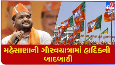 Gujarat Election: મહેસાણામાં ભાજપની ગૌરવ યાત્રામાં નહી જોડાય હાર્દિક પટેલ, જાણો શું છે કારણ ?