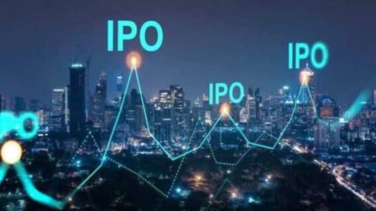 Paytm, Zomato અને LICએ રોકાણકારોને લૂંટ્યા, આ વર્ષે 40 ટકા IPOએ આપ્યો ઝટકો