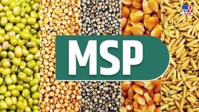 ખેડૂતો આનંદો ! લાભ પાંચમથી મગફળી, મગ, અડદ અને સોયાબીનની ટેકાના ભાવે ખરીદી શરૂ થશે
