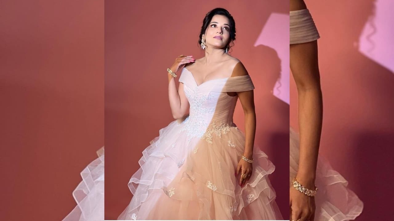 આ તસવીરો શેર કરતી વખતે મોનાલિસાએ લખ્યું 'પ્રિન્સેસ' અને મોનાલિસા આ આઉટફિટમાં રાજકુમારી જેવી લાગે છે.