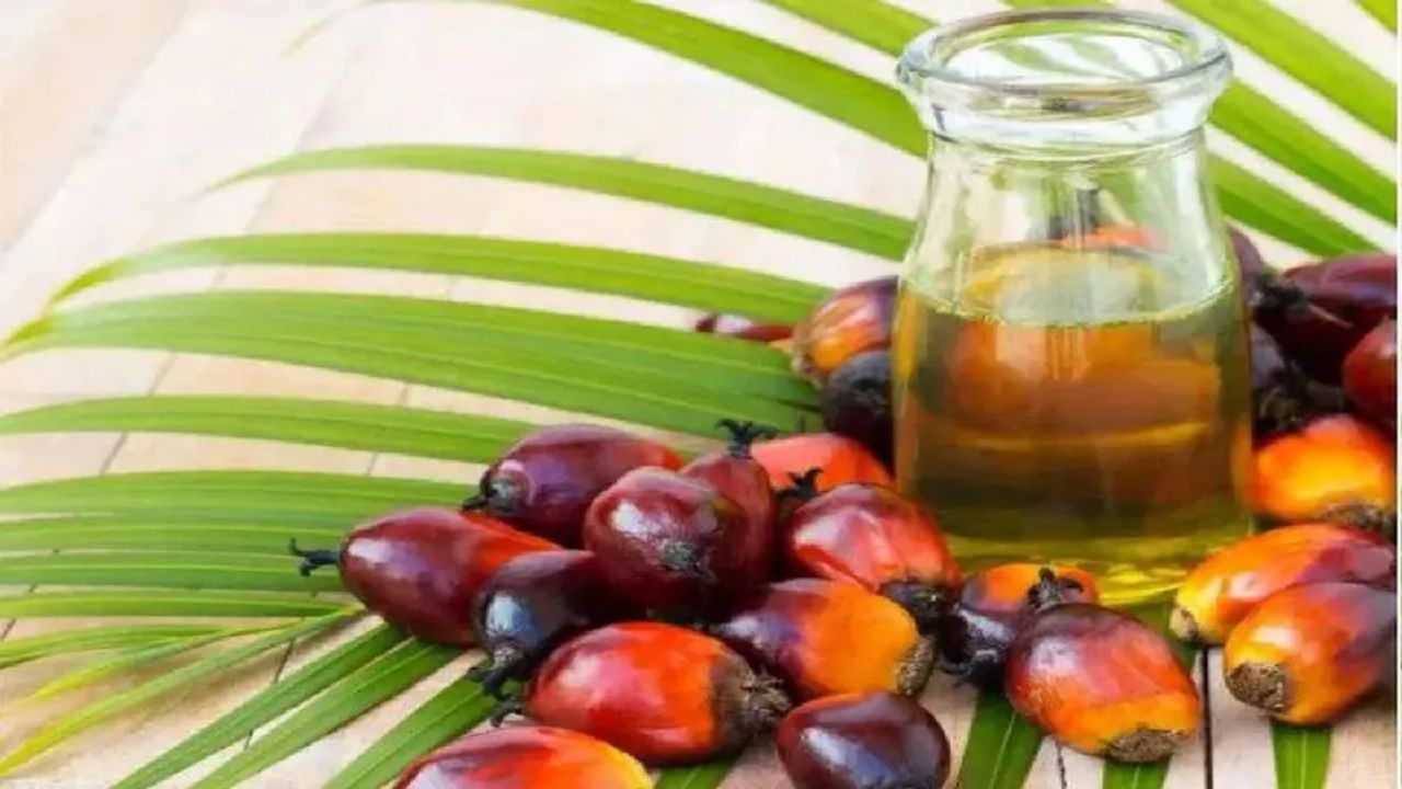 Palm Oil Price : શું ફરી મોંઘુ થશે ખાદ્યતેલ? પામ ઓઈલે વધારી ચિંતા
