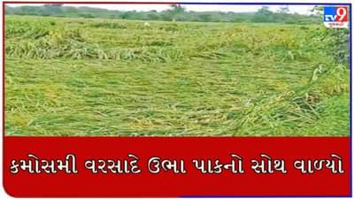 મેઘરાજા હવે તો ખમૈયા કરો : સાબરકાંઠા જિલ્લામાં કમોસમી વરસાદ થતા જગતના તાતને વ્યાપક નુકસાન, જુઓ VIDEO