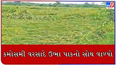 મેઘરાજા હવે તો ખમૈયા કરો : સાબરકાંઠા જિલ્લામાં કમોસમી વરસાદ થતા જગતના તાતને વ્યાપક નુકસાન, જુઓ VIDEO