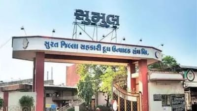 Surat : સુમુલ ડેરીએ પશુ પાલકોને આપી દિવાળી ભેટ, દૂધના કિલો ફેટના ભાવમાં વધારો કર્યો