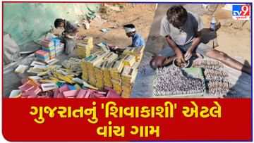 VIDEO : સ્વદેશી ફટાકડાની બોલબોલા ! ગુજરાતના 'શિવાકાશી' તરીકે ઓળખ મેળવનાર આ ગામમાં દિવાળી આપે છે રોજગારીનો ઉજાસ