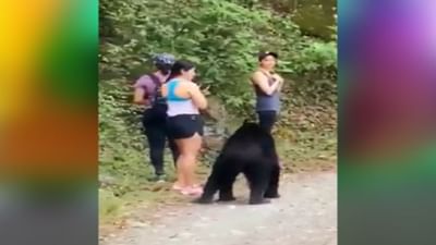 છોકરીઓને મારી જ નાખવાનો હતો વિશાળકાય રીંછ, સમજદારીપૂર્વક આવી રીતે બચ્યો જીવ