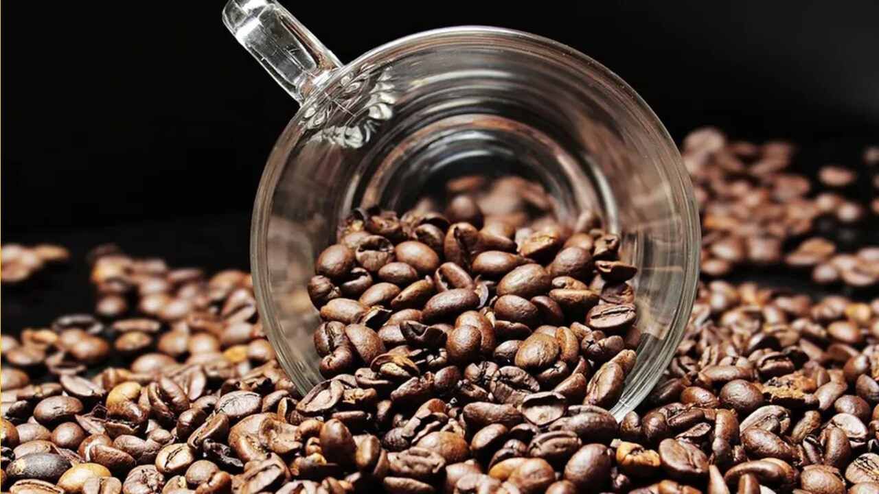 નાણાંની દ્રષ્ટિએ, 2021-22માં $1.02 બિલિયનની કોફીની નિકાસ કરવામાં આવી છે. માર્ચમાં ફેબ્રુઆરી કરતાં 22 ટકા વધુ વૃદ્ધિ જોવા મળી હતી અને નિકાસમાં $114.7 મિલિયનનો વેપાર થયો હતો.
