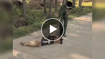 કૂતરાએ રિસાવાની કરી ગજબ એક્ટિંગ, વીડિયો જોઈ લોકોએ કહ્યું - આ તો બહુ ડ્રામેબાઝ, જુઓ મજેદાર વાયરલ વીડિયો