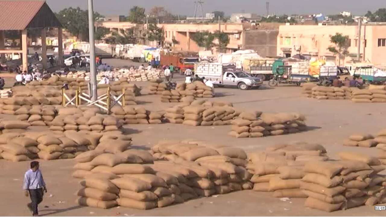 ભાવનગર માર્કેટિંગ યાર્ડમાં મગફળીની મબલખ આવક, સારા ભાવ મળતા ખેડૂતોની દિવાળી સુધરી