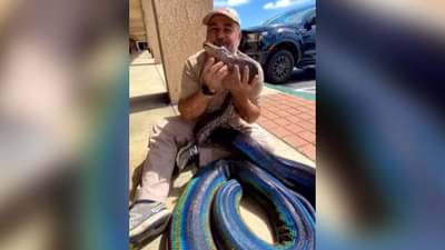 ખતરનાક અજગર સાથે વહાલ, પછી લગાવ્યો ગળે, ચોંકાવનારો વાયરલ વીડિયો જોઈ લોકોના ઉડ્યા હોંશ