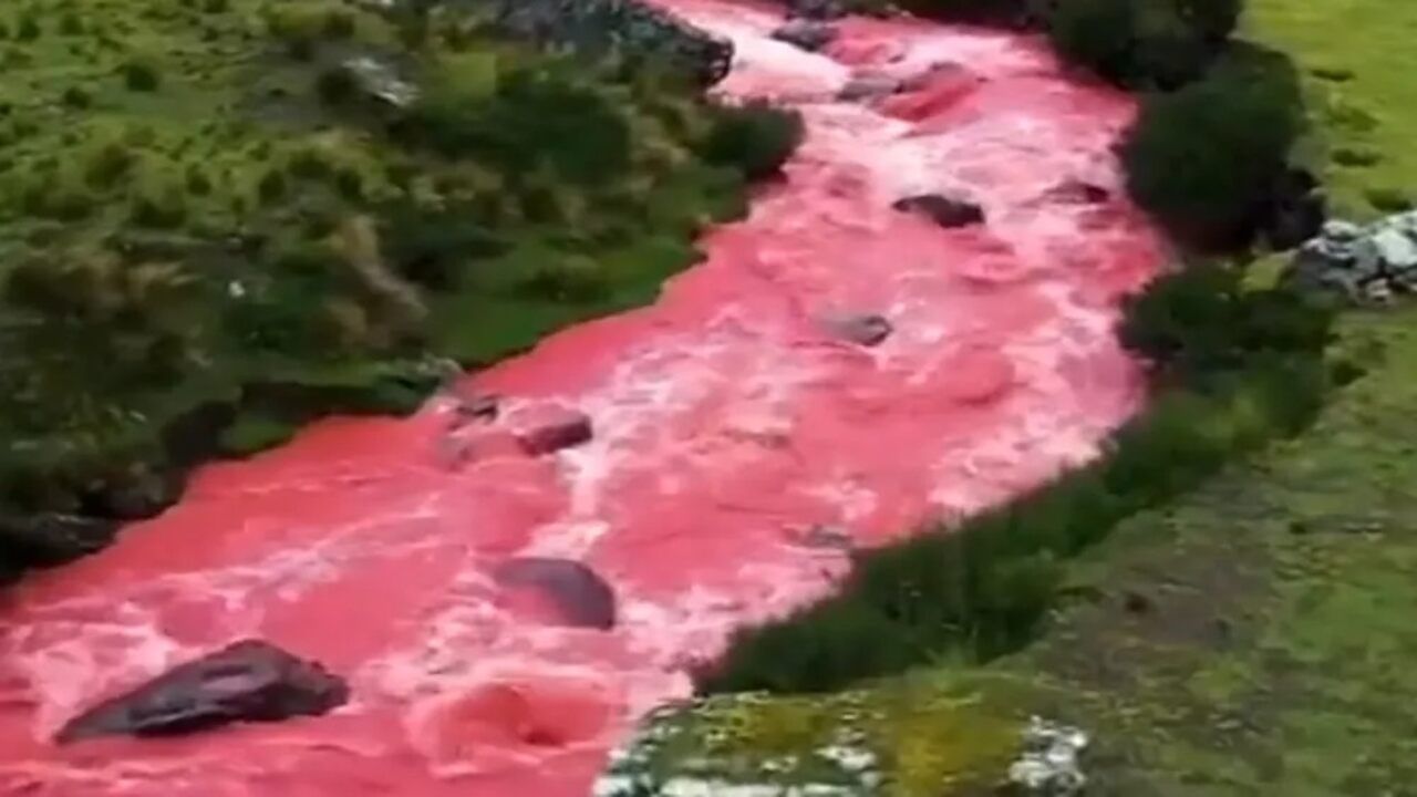 સામાન્ય રીતે પાણીનો રંગ સફેદ , વાદળી કે માટી જેવો હોય છે. પણ હાલમાં લોહીના રંગ જેવી લાલ નદીના ફોટો સોશિયલ મીડિયા પર વાયરલ થઈ રહ્યા છે. તે નદીના રંગના કારણે તે નદીને 'લાલ લોહીની નદી'નું નામ આપવામાં આવ્યુ છે. 

