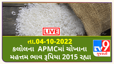 Mandi: કલોલના APMCમાં ચોખાના મહત્તમ ભાવ રૂપિયા 2015 રહ્યા, જાણો જુદા-જુદા પાકના ભાવ