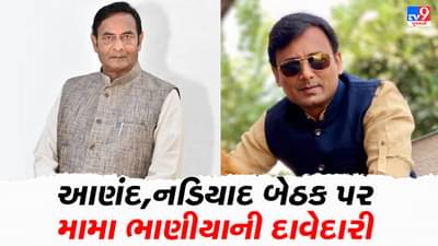 મધ્યગુજરાતની બે બેઠકો પર મામા ભાણીયાની દાવેદારી, આણંદથી પૂર્વ સાંસદ દિલીપ પટેલે ટિકિટ માગી તો નડિયાદથી ભાણીયા રાજન દેસાઈએ કરી દાવેદારી