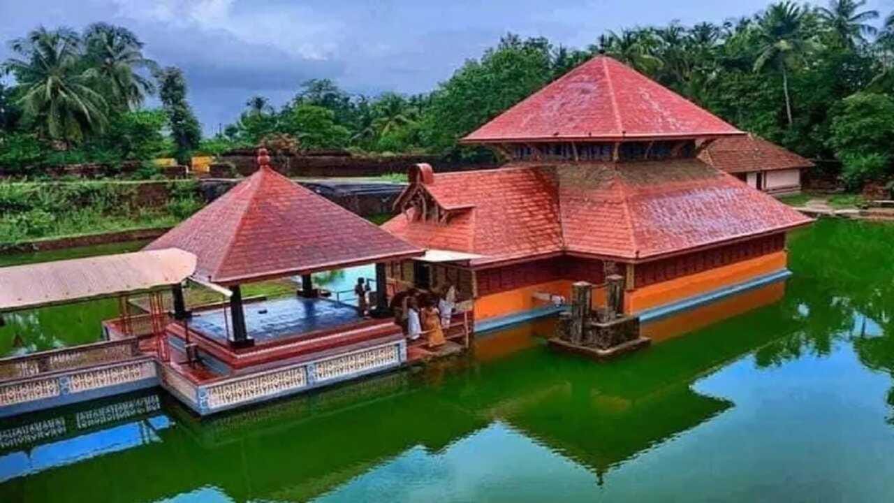 તે ભાત અને ગોળ પણ ખાતો હતો. મંદિરમાં દર્શન માટે આવતા ભક્તો પણ તેને પ્રસાદ આપતા હતા. લોકો તેને ભગવાનનો દૂત કહેતા હતા. 