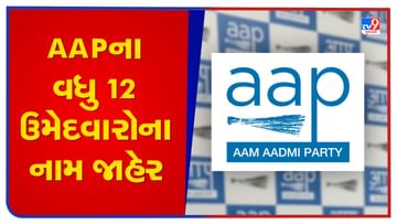 Gujarat Election: આમ આદમી પાર્ટીએ 12 ઉમેદવારોની વધુ એક યાદી કરી જાહેર, જાણો કઇ બેઠક પર કોણ છે ઉમેદવાર