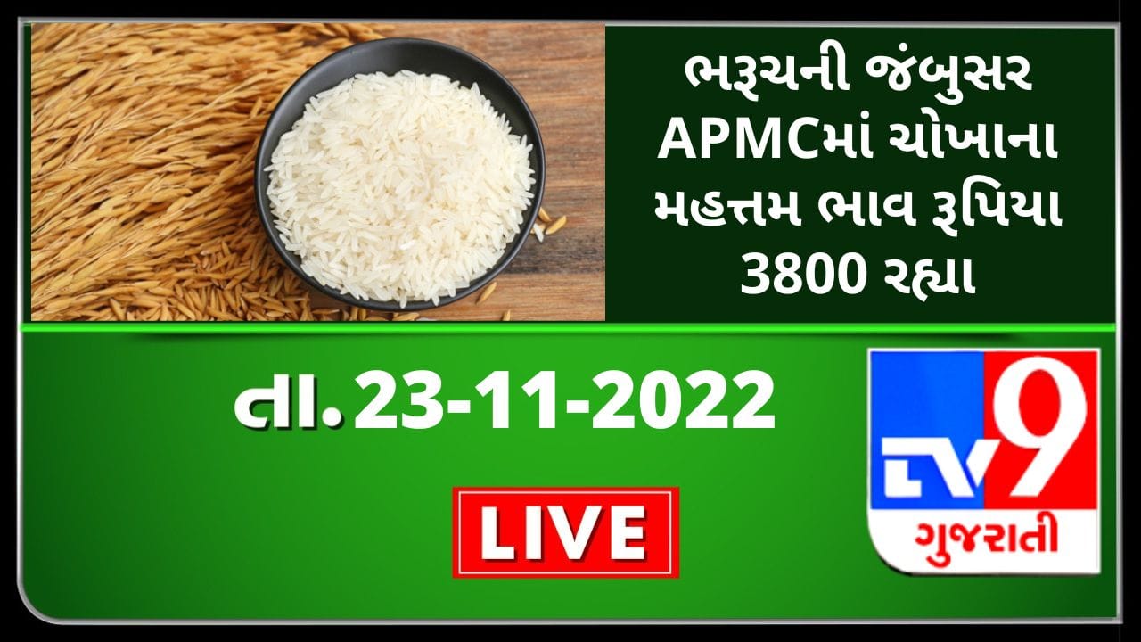 Mandi : ભરૂચની જંબુસર APMCમાં ચોખાના મહત્તમ ભાવ રૂપિયા 3800 રહ્યા, જાણો ...