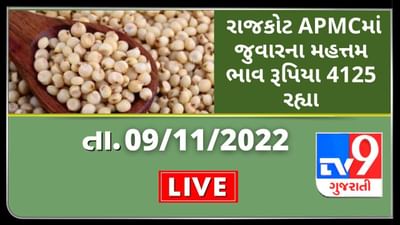 Mandi : રાજકોટ APMCમાં જુવારના મહત્તમ ભાવ રૂપિયા 4125 રહ્યા, જાણો જુદા-જુદા પાકના ભાવ Mandi : રાજકોટ APMCમાં જુવારના મહત્તમ ભાવ રૂપિયા 4125 રહ્યા, જાણો જુદા-જુદા પાકના ભાવ
