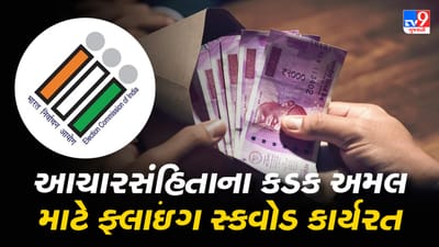 Gujarat Election 2022: ગાંધીનગરમાં આચારસંહિતાના અમલ માટે ફલાઈંગ સ્કવોડ અને સ્ટેટિક સર્વેલન્સ ટીમ કાર્યરત