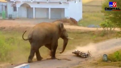 ગજરાજને આવ્યો ગુસ્સો, બાઇકને ફૂટબોલની જેમ ઉછાળી, લોકો જોતાં જ રહી ગયા