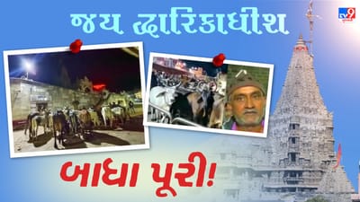 કાનુડાની ગાયો 450 કિલોમીટરની પદયાત્રા કરીને પહોંચી કાળિયા ઠાકરના દર્શને, એવું તે શું થયું કે મધરાતે ગૌમાતા માટે ખૂલ્યા જગત મંદિરના દ્વાર !