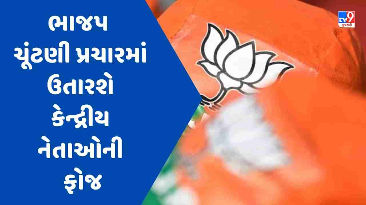 Gujarat Election 2022 : ભાજપ ચૂંટણી પ્રચારમાં ઉતારશે કેન્દ્રીય નેતાઓની ફોજ, પીએમ મોદી સહિત આ સ્ટાર પ્રચારકો ઉતરશે મેદાનમાં