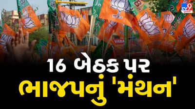 Gujarat Election 2022: ભાજપની બીજી ઉમેદવારોની યાદી જાહેર, 16 બેઠક પર હજુ પણ પેચ ફસાયેલો