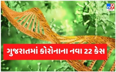 ગુજરાતમાં કોરોનાના નવા 22 કેસ, એક્ટિવ કેસ 396એ પહોંચ્યા